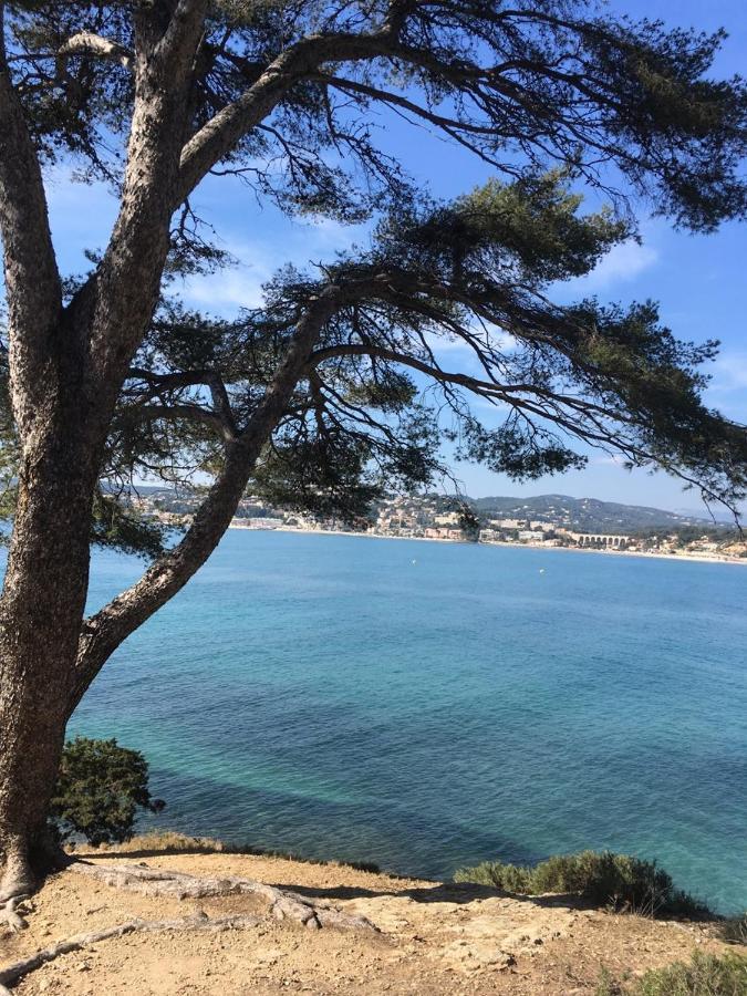 Les Galets De Sanary - Vue Mer ภายนอก รูปภาพ